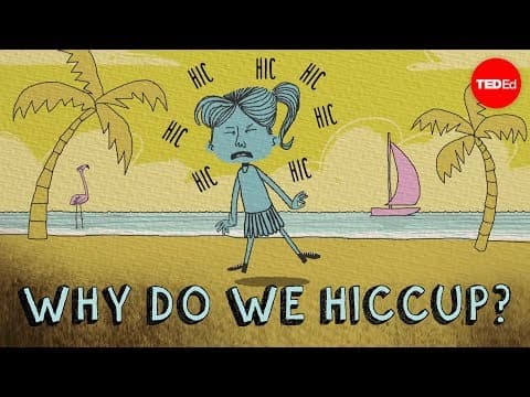 【TED-Ed】為什麼我們會打嗝呢？ (Why do we hiccup? - John Cameron)