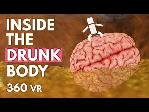 在你酒醉的身體裡發生了什麼？ (What Happens Inside Your Drunk Body? - VR 360°)