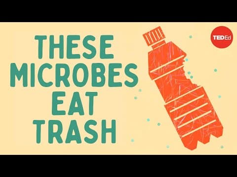 一起認識能夠「吃垃圾」的微生物 (The smallest solution to one of our biggest problems - Tierney Thys & Christian Sardet)