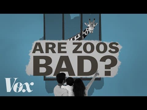 動物園到底好還是不好（How do we fix the zoo?）