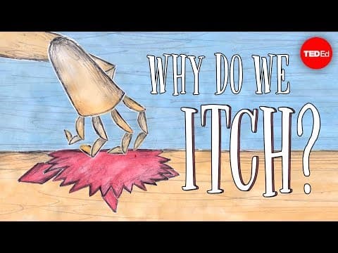 為什麼會覺得癢？癢到底是怎麼來的？ (Why do we itch? - Emma Bryce)