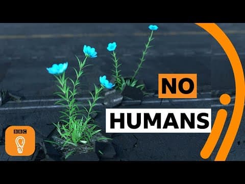 如果地球上所有的人類都消失了會怎樣？| BBC創意 (What if all humans on Earth disappeared? | BBC Ideas)