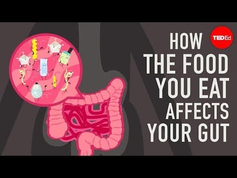 【TED-Ed】吃下去食物會如何影響你的腸子? (How the food you eat affects your gut - Shilpa Ravella)