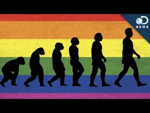 為什麼有同性戀? (Why Is There Homosexuality?)
