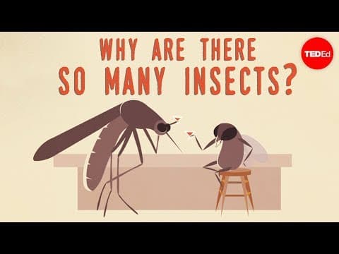 【TED-Ed】蟲蟲危機從何而來？ (Why are there so many insects? - Murry Gans)