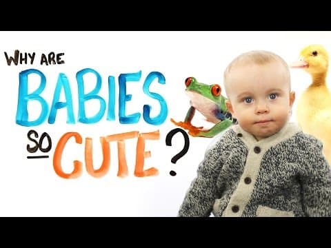 為什麼寶寶有令人無法抗拒的吸引力 (Why Are Babies So Cute?)