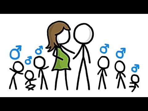 天啊！世界上的男生比女生多的原因竟然是...Why Do We Have More Boys Than Girls? 