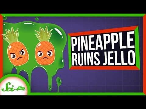 為什麼做果凍不能加鳳梨或奇異果？(Why Do Pineapple and Kiwi Ruin Gelatin?)
