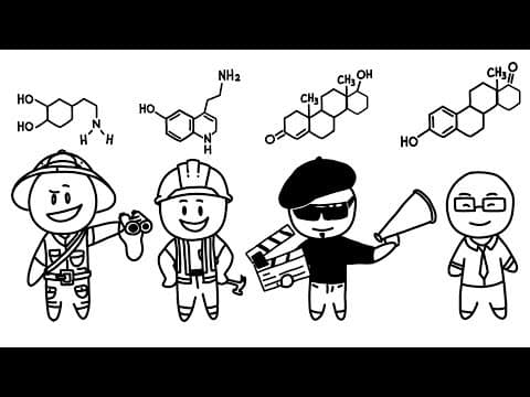 四種戀愛類型，你是哪一種？ (The Four Love Types : Explorer, Builder, Director, And Negotiator)