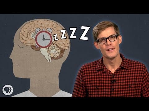 睡覺好像很重要？不過我們到底為什麼要睡覺？ (Why Do We Have To Sleep?)