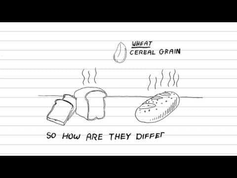 全麥麵包真的有比較健康嗎？跟一般麵包到底差在哪？ (White Bread Vs Whole Wheat (Grain): What's healthier?, What's the difference?)