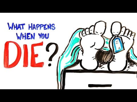 【泛科學精選】當我們死的時候，身體會產生什麼變化？(What Happens When You Die?)