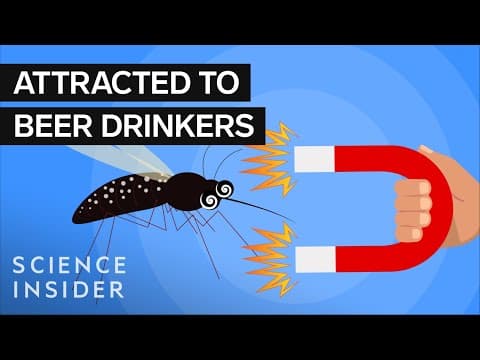 擾人的蚊子總愛追著你來叮？為什麼？ (Why You're A Mosquito Magnet)
