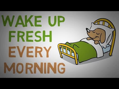 總是把「好累」掛嘴邊？讓你精力充沛的小秘訣！ (How to STOP Waking Up Feeling TIRED Every Morning - 4 Tips (animated))