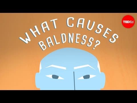 【Ted-Ed】為什麼有些人會禿頭呢? (Why do some people go bald? - Sarthak Sinha)
