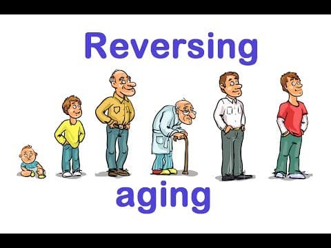 老化可以逆轉嗎？ (Could Aging Be Reversed?)