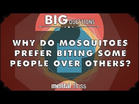 為什麼蚊子會選擇性叮人？　(Why do mosquitoes prefer biting some people to others? - Big Questions - (Ep. 26))