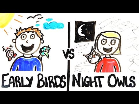 什麼！早起的人未必比晚睡的人有優勢？Early Birds vs Night Owls)