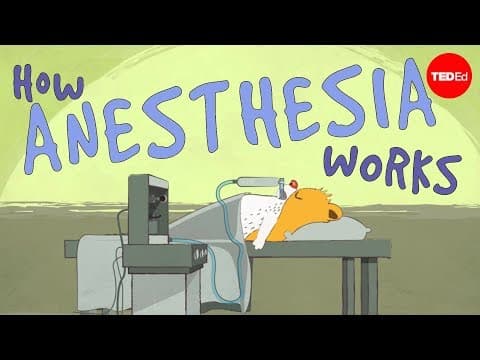 【TED-Ed】麻醉藥是怎麼作用的？ (How does anesthesia work? - Steven Zheng)