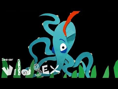 你不知道的章魚超狂野生殖過程 (Sticking a Penis Into a Nostril: The Wild Story of Octopus Sex)