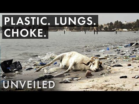 塑膠危機！再不停手會有什麼後果？ (What Happens When Plastic Pollution Gets Worse?)