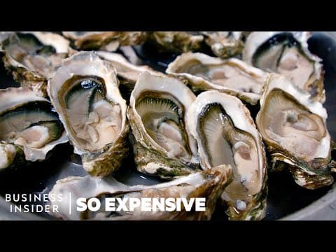200 年前的生蠔比現在更夯？！生蠔為什麼這麼貴？ (Why Oysters Are So Expensive | So Expensive)
