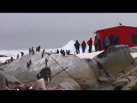 【時事英文】南極洲到底該歸誰擁有呢？ (Who Owns Antarctica? (Bizarre Borders Part 3))