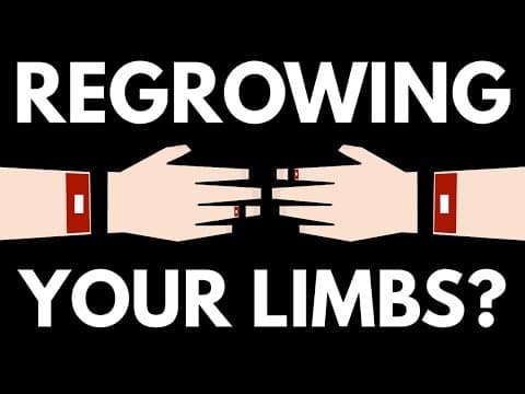 為什麼四肢斷了卻再也長不回來？ (Why Can