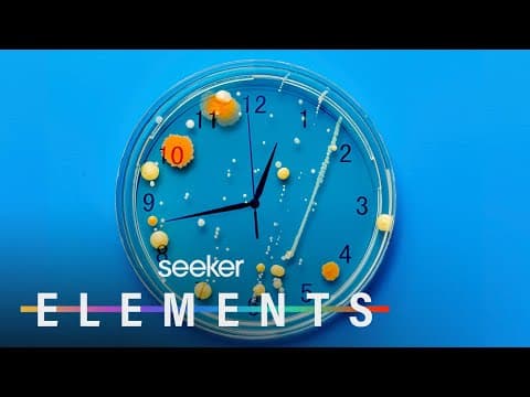 【發音特輯】你的發音標不標準呢？一起來 review！