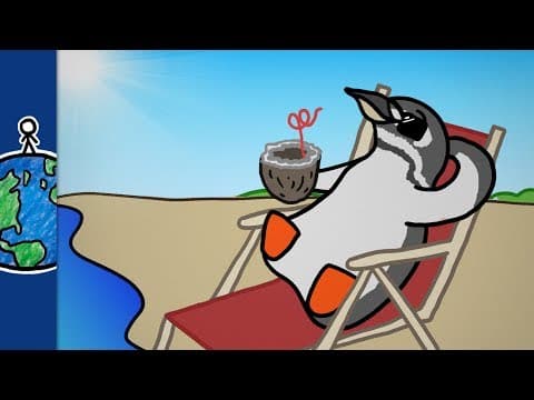 為什麼赤道上有企鵝？(Why Are There Penguins At The Equator?)