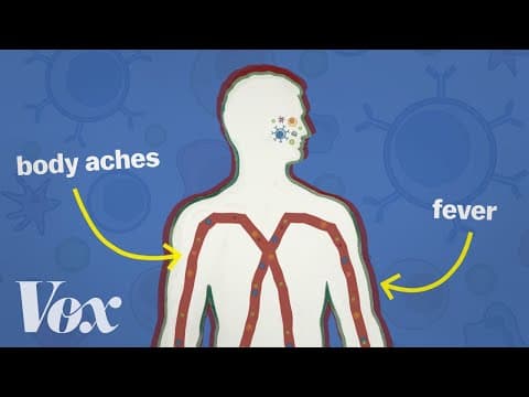 好酸好痛！但是疫苗的副作用其實是件好事？！ (Vaccine side effects are actually a good thing)