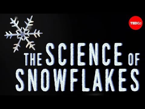 雪花的科學 (The science of snowflakes - Maruša Bradač)