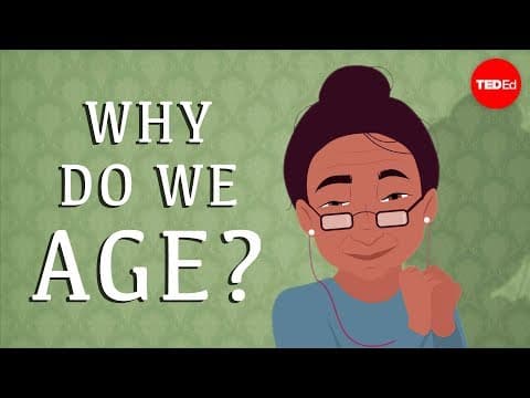 TED-Ed】為什麼我們的身體會變老呢？ (Why do our bodies age? - Monica Menesini)