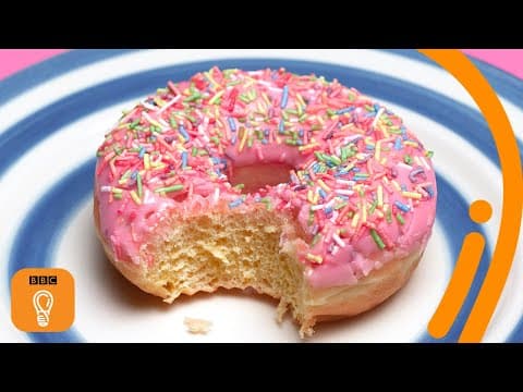 為什麼甜食如此難以抗拒？來了解背後的科學原理 | BBC創意 (The science behind why doughnuts are so hard to resist | BBC Ideas)