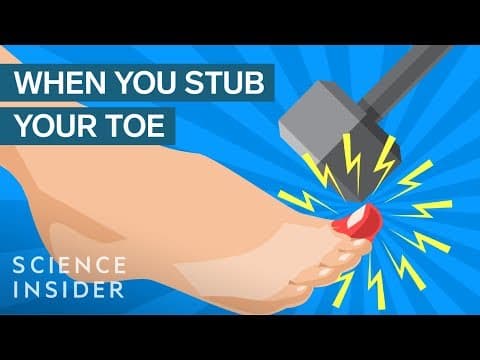 頭皮發麻！為何踢到腳趾這麼痛？！(Why Stubbing Your Toe Hurts So Much)