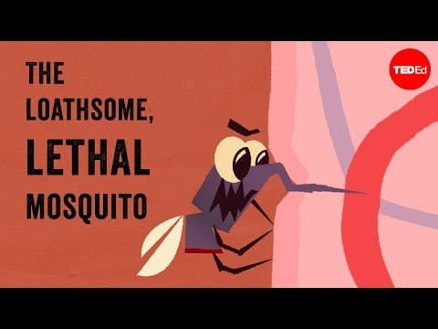 【TED-Ed】可惡又致命的蚊子 (The loathsome, lethal mosquito - Rose Eveleth)