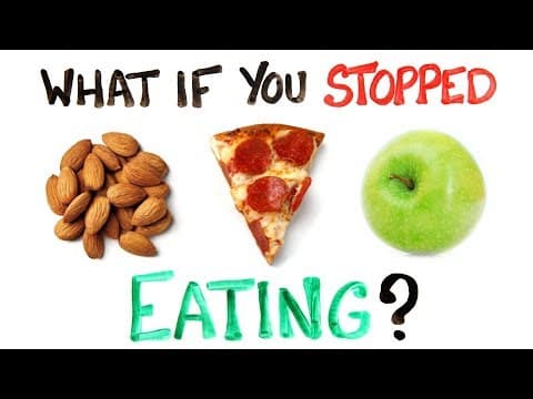 如果你停止進食？ (What If You Stopped Eating Food?)