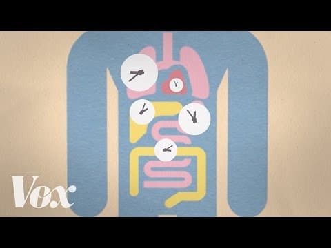 習慣晚睡嗎？或許是基因惹的禍！ (Late sleeper? Blame your genes.)