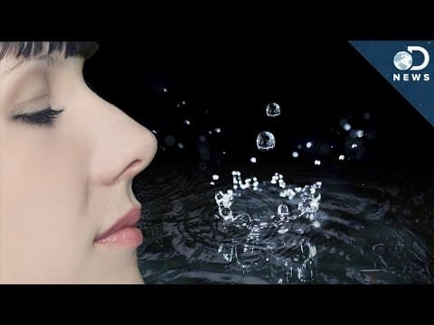 【科學小常識】為什麼下雨後空氣格外清新？　(Why Does Rain Smell So Good?)