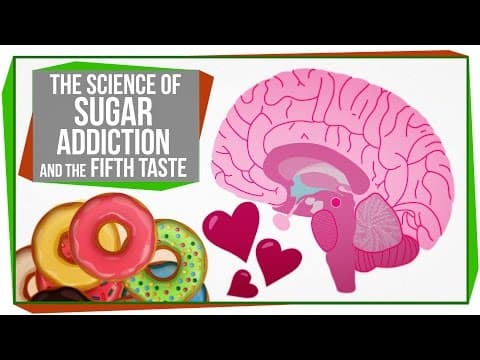 【科學知識】對「糖」愛不釋手？ 讓「糖癮科學」告訴你原因！　(The Science of Sugar Addiction)