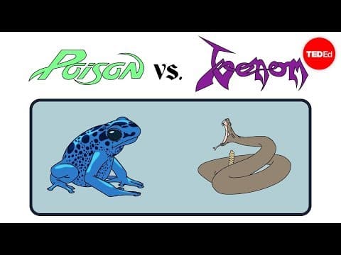 TED-ED : Poison vs. venom: What
