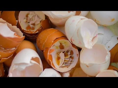 【發音特輯】你的發音標不標準呢？一起來 review！