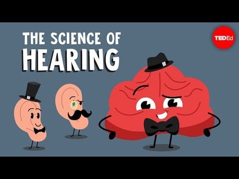 【TED-Ed】為什麼聽得見？聽力科學大解密 (The science of hearing - Douglas L. Oliver)