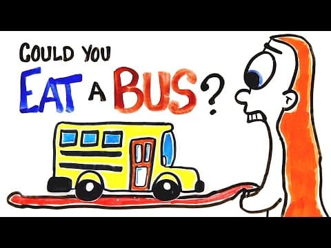 原來可以吃得下一輛公車!? (Can You Actually Eat A Bus?)