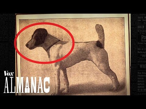 誰是最優秀的狗狗？(Was this the greatest dog of all time?)