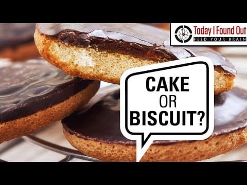 英國零食 Jaffa Cake 到底是餅乾還是蛋糕？看看官司之後法官如何判決！（A Cake or a Biscuit? - The Lengthy and Expensive Saga of the Jaffa Cake）