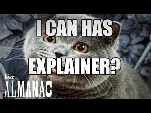 什麼！梗圖的字體都是同一款？ (The Reason every Meme Uses That One Font)