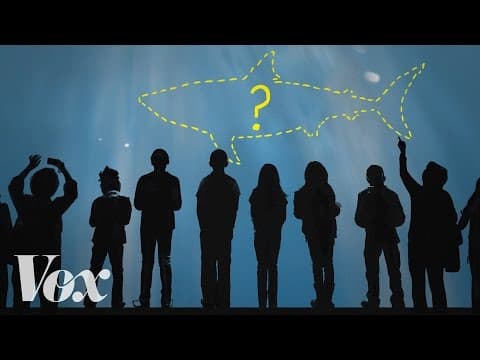 你有沒有想過這個問題：為什麼水族館都沒有大白鯊？ (Why no aquarium has a great white shark)