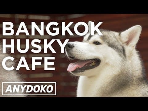 【發音特輯】你的發音標不標準呢？一起來 review！