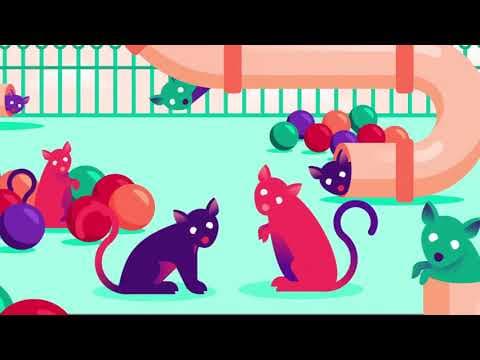 「上癮」的真面目 (Everything We Think We Know About Addiction Is Wrong)